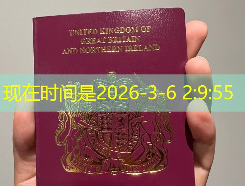 南阳移民中介机构：如何在家门口挑到靠谱的“出国管家”？